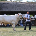 Hódmezővásárhely 2018