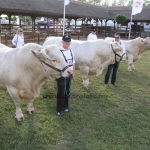 Hódmezővásárhely 2018