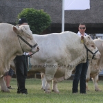 Hódmezővásárhely 2018