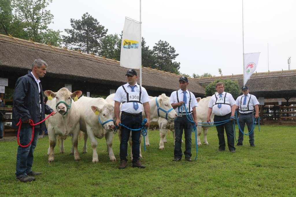 Hódmezővásárhely 2019