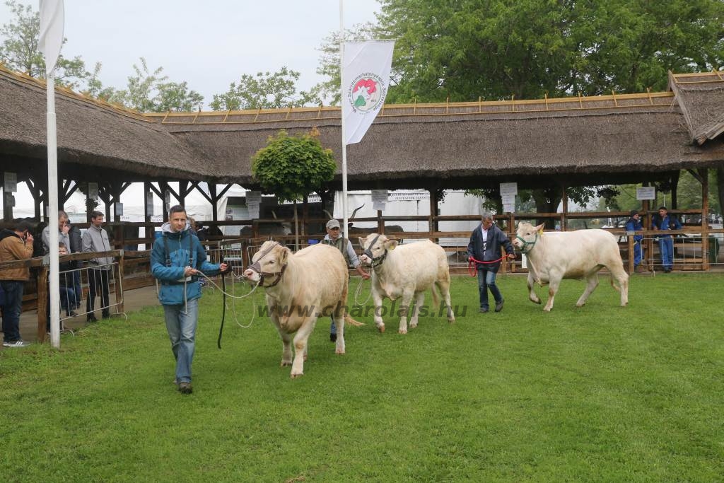 Hódmezővásárhely 2019