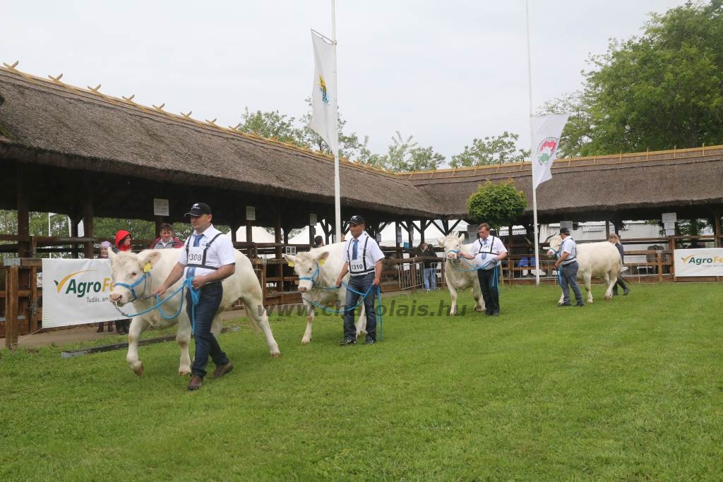 Hódmezővásárhely 2019