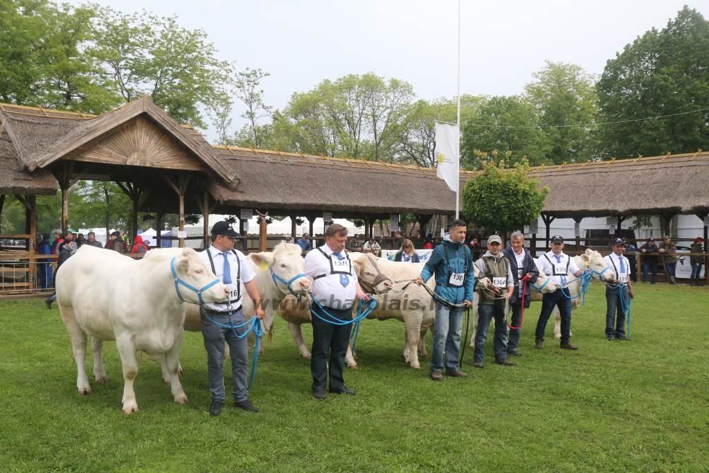 Hódmezővásárhely 2019