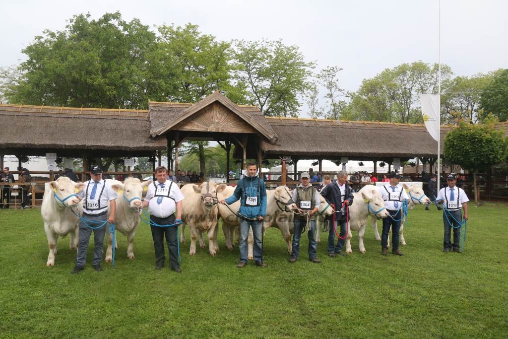 Hódmezővásárhely 2019