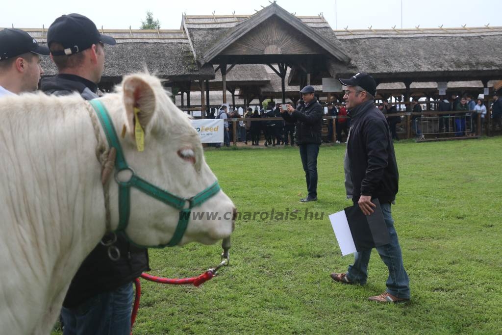 Hódmezővásárhely 2019