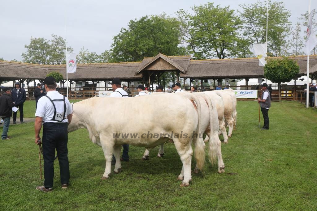 Hódmezővásárhely 2019