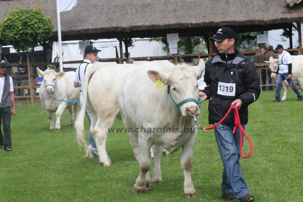 Hódmezővásárhely 2019