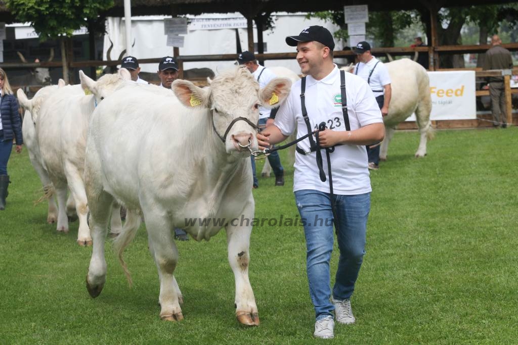 Hódmezővásárhely 2019