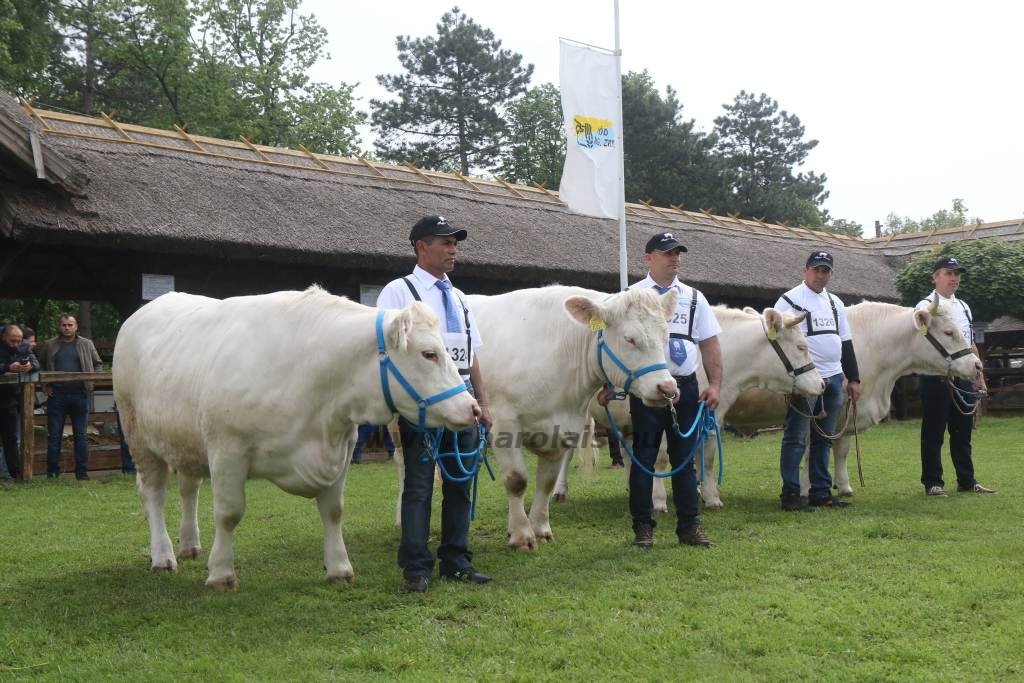 Hódmezővásárhely 2019