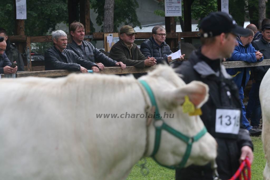 Hódmezővásárhely 2019