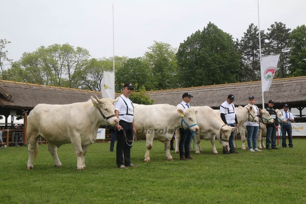 Hódmezővásárhely 2019