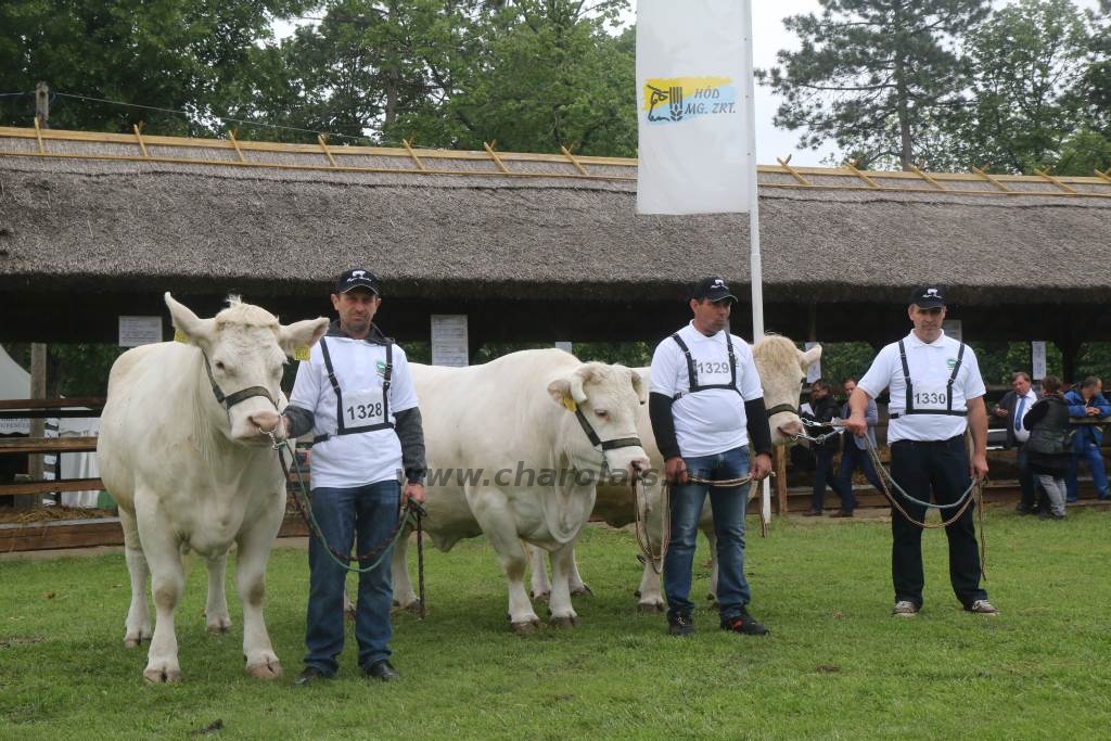 Hódmezővásárhely 2019