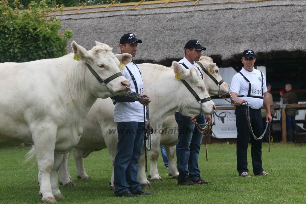 Hódmezővásárhely 2019