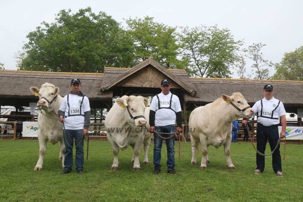 Hódmezővásárhely 2019