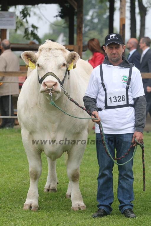 Hódmezővásárhely 2019