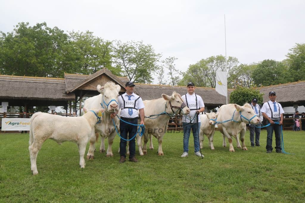 Hódmezővásárhely 2019