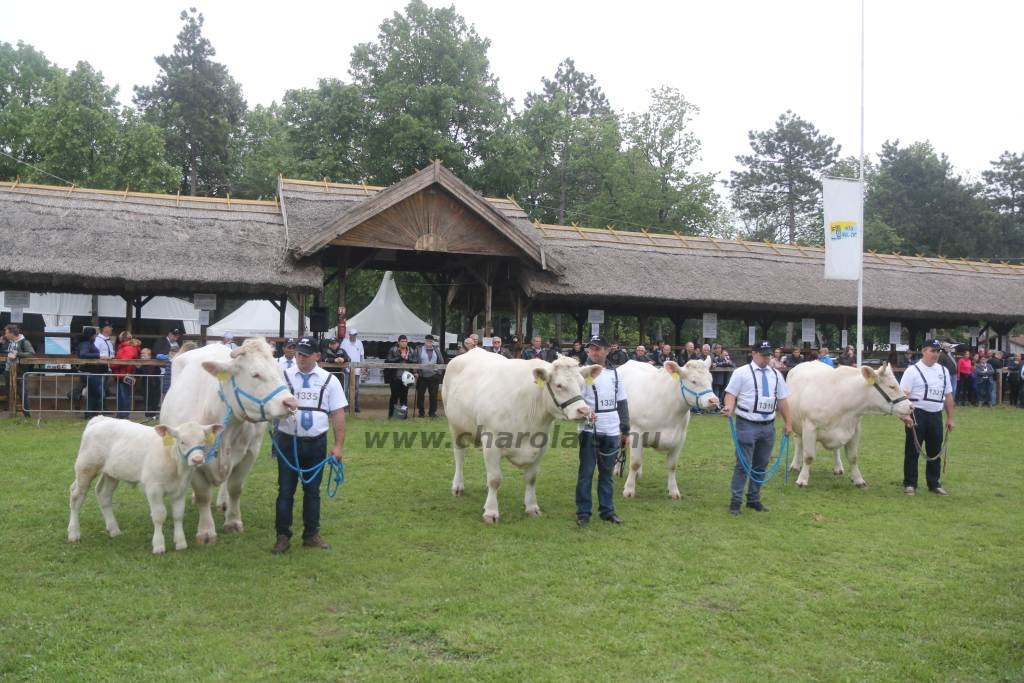 Hódmezővásárhely 2019