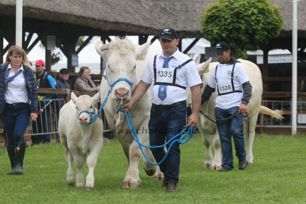 Hódmezővásárhely 2019