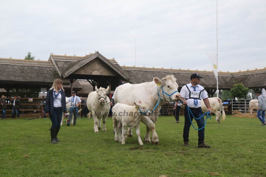 Hódmezővásárhely 2019