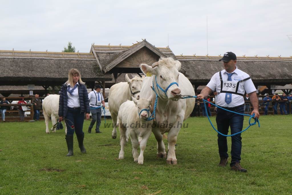 Hódmezővásárhely 2019