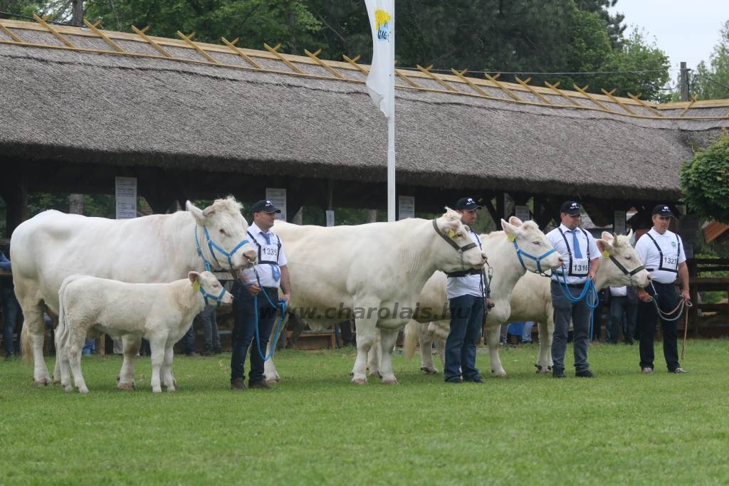 Hódmezővásárhely 2019