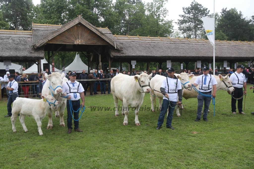 Hódmezővásárhely 2019