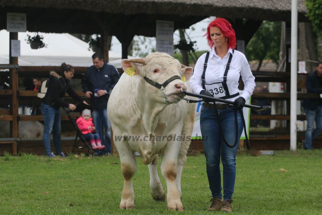 Hódmezővásárhely 2019