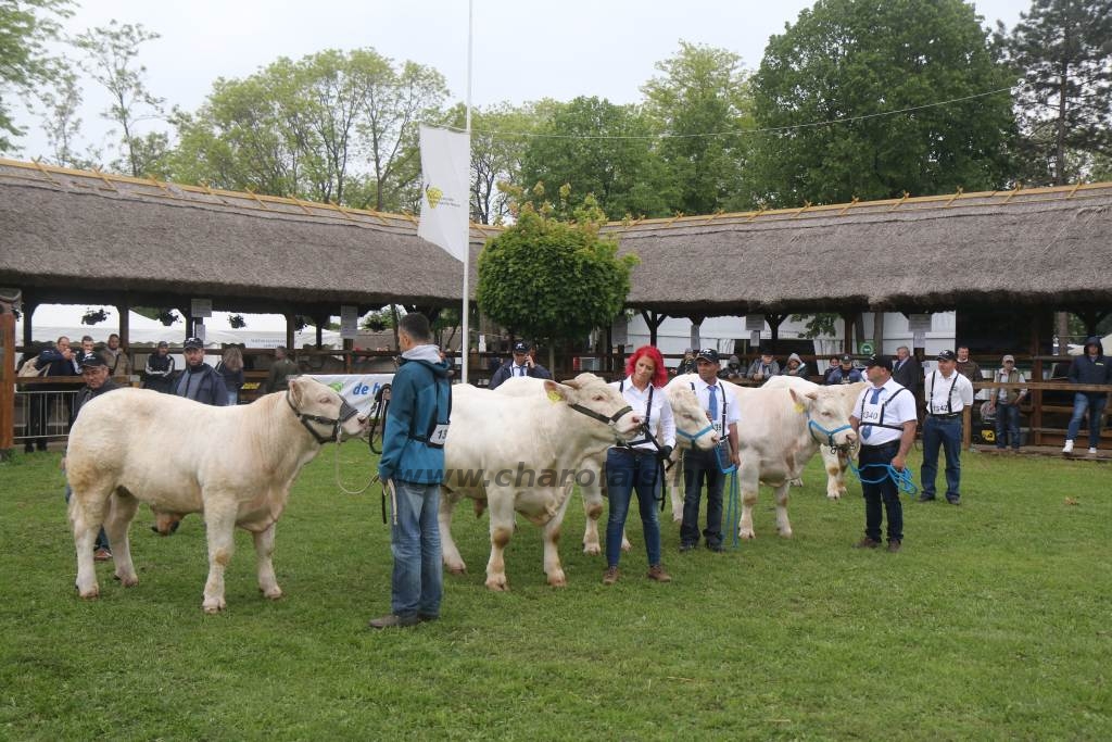 Hódmezővásárhely 2019