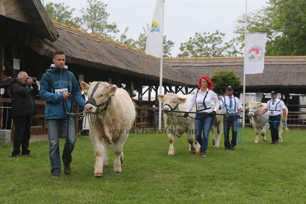 Hódmezővásárhely 2019