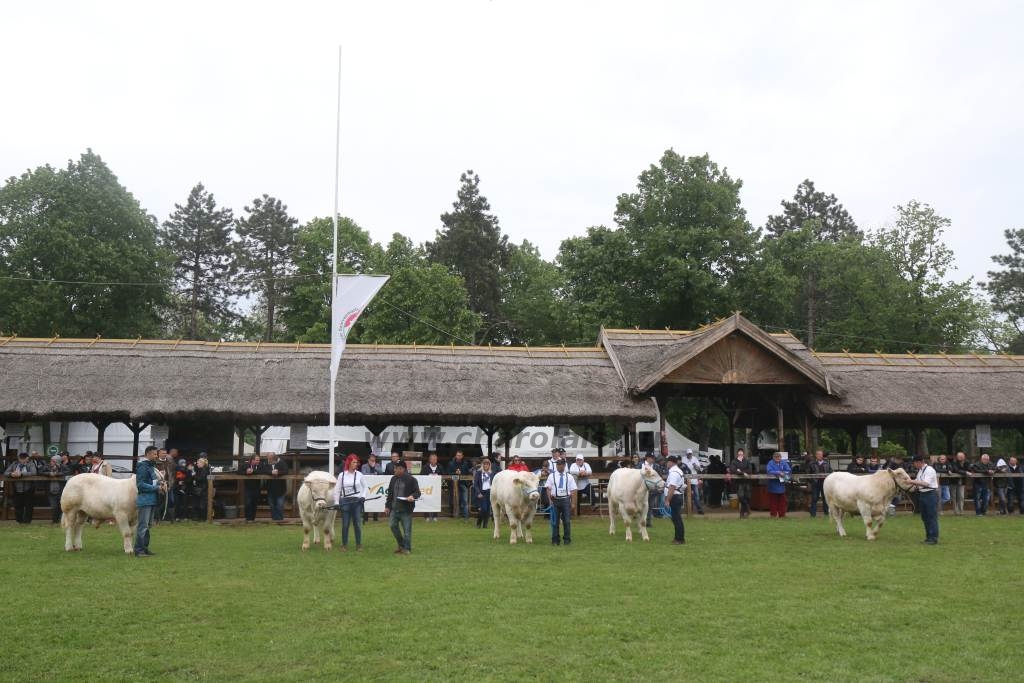 Hódmezővásárhely 2019