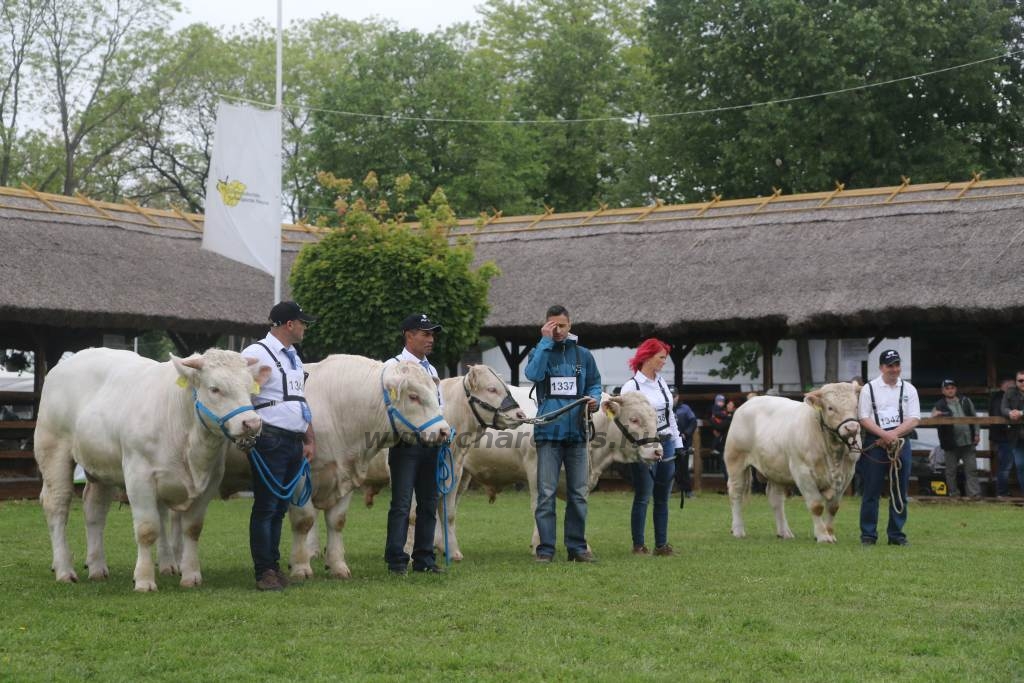 Hódmezővásárhely 2019