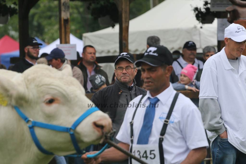 Hódmezővásárhely 2019