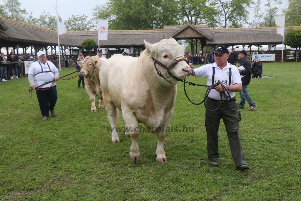 Hódmezővásárhely 2019