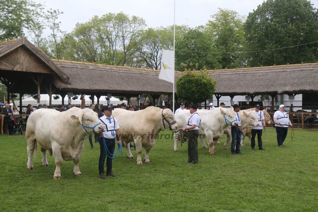 Hódmezővásárhely 2019