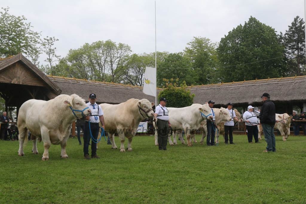 Hódmezővásárhely 2019