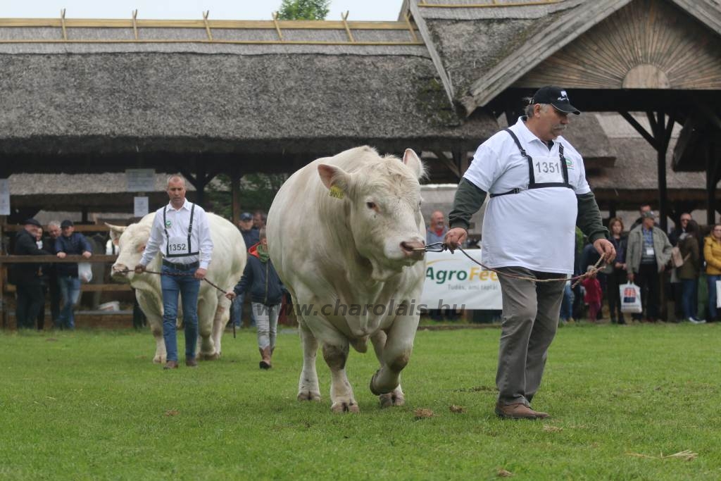 Hódmezővásárhely 2019