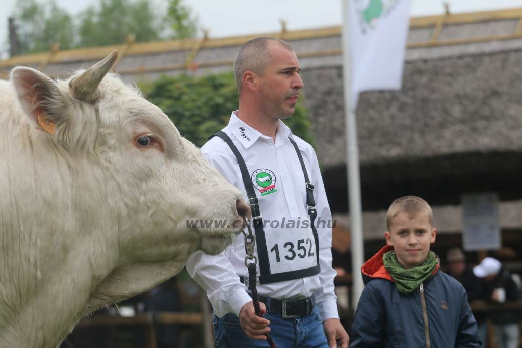 Hódmezővásárhely 2019