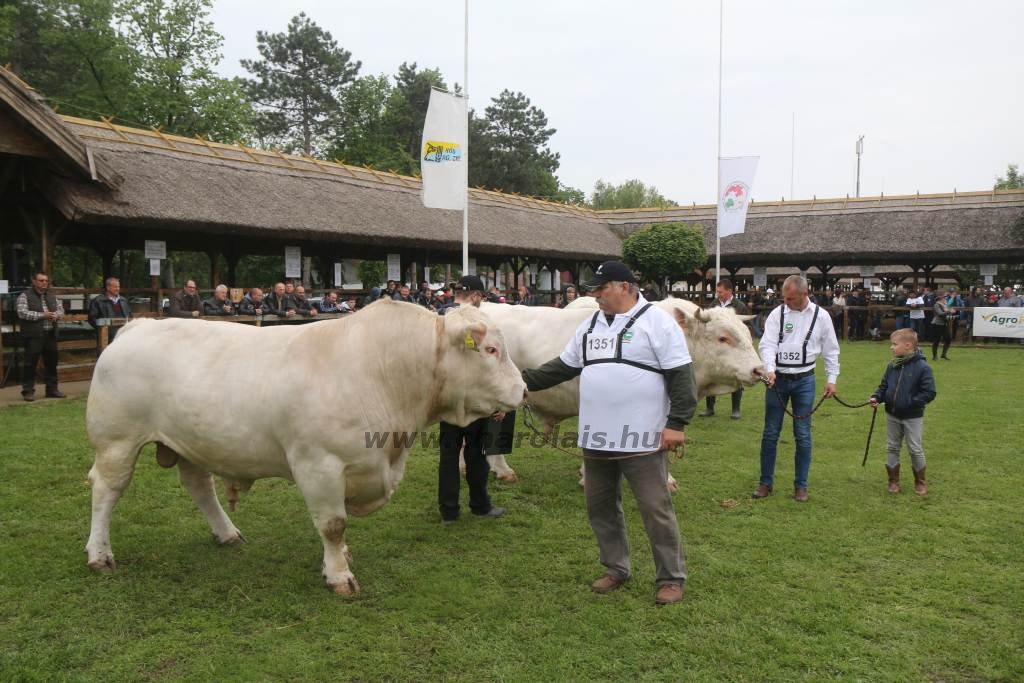 Hódmezővásárhely 2019