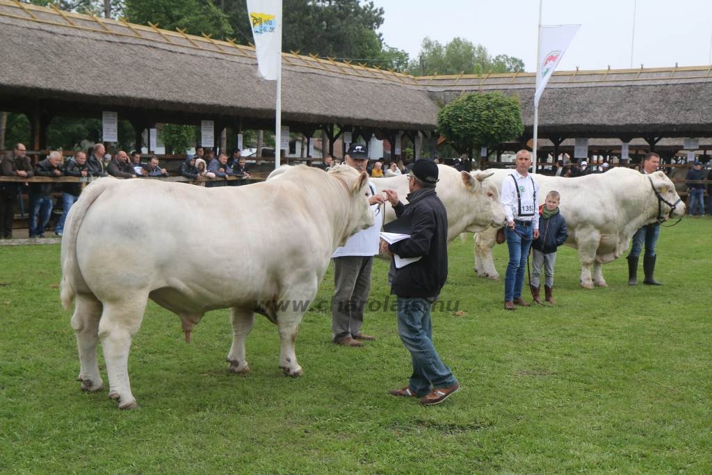 Hódmezővásárhely 2019