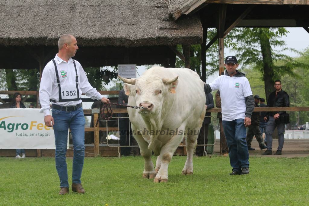 Hódmezővásárhely 2019