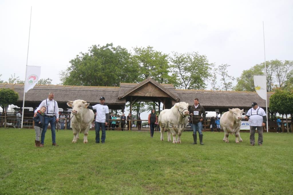 Hódmezővásárhely 2019