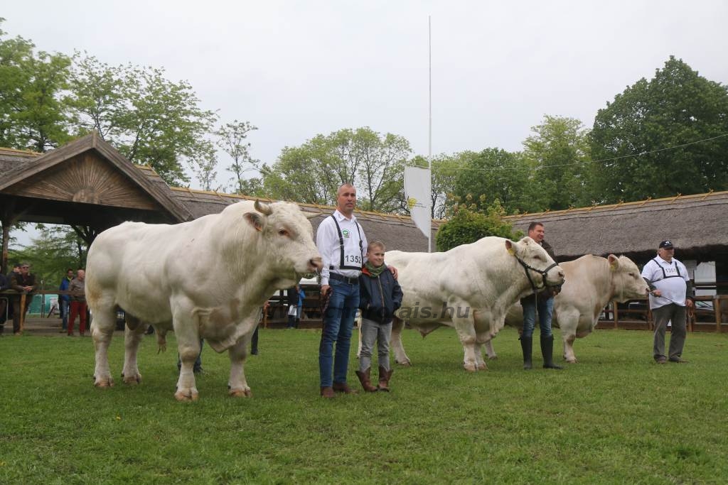 Hódmezővásárhely 2019