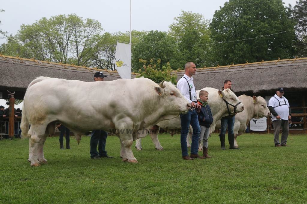 Hódmezővásárhely 2019