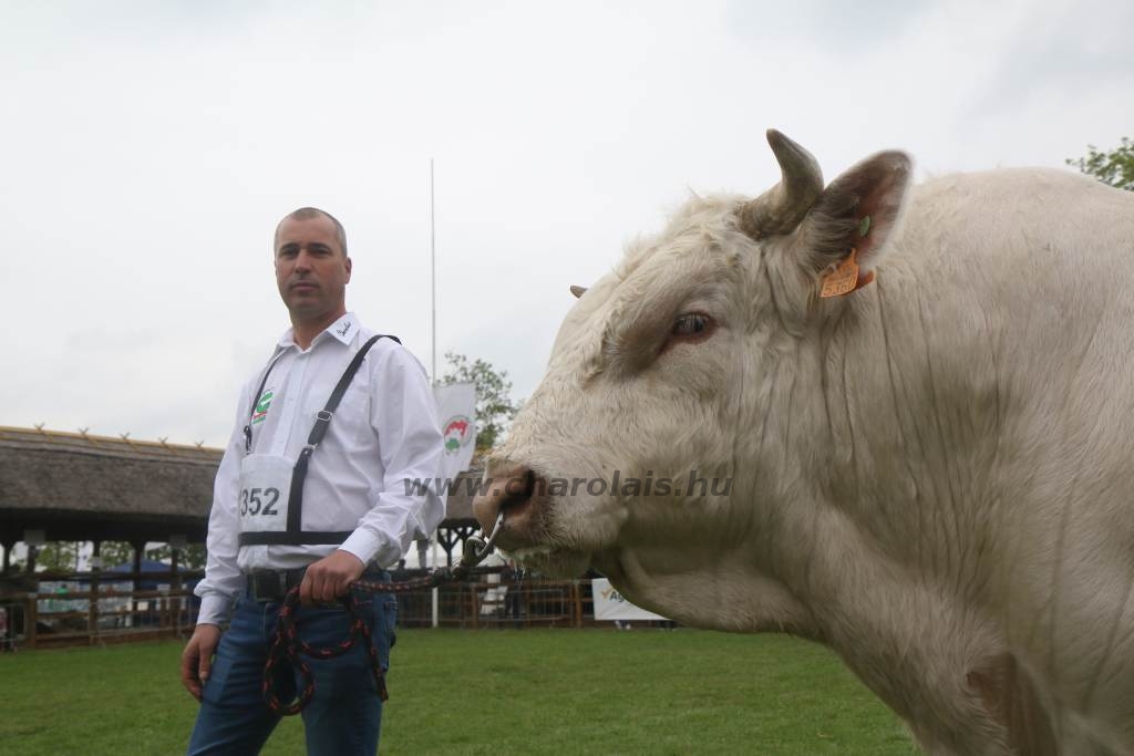 Hódmezővásárhely 2019