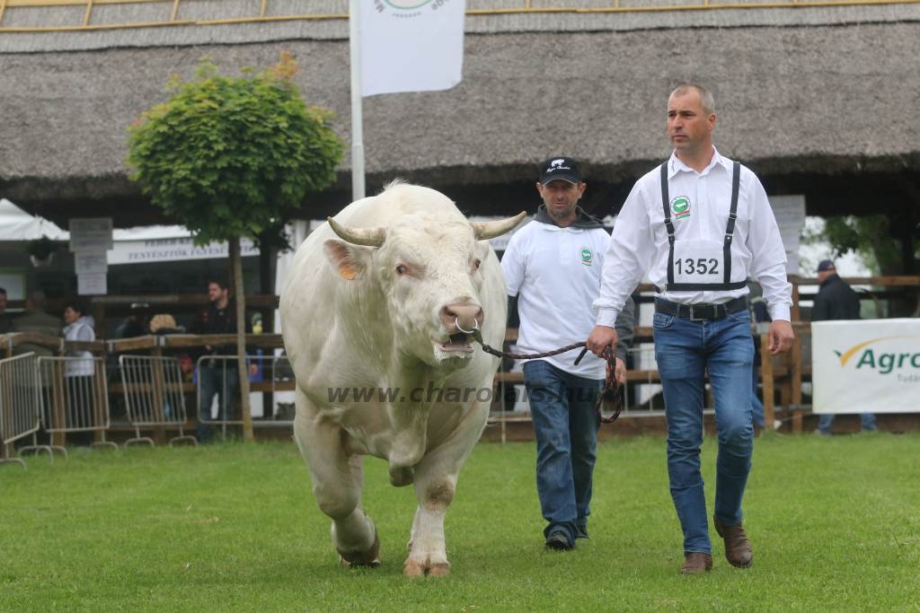 Hódmezővásárhely 2019