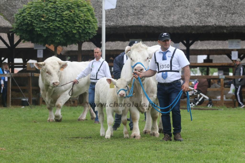 Hódmezővásárhely 2019