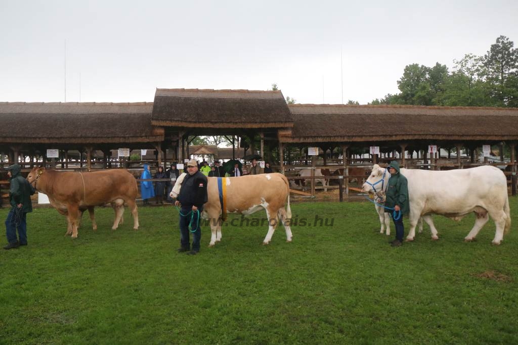 Hódmezővásárhely 2019