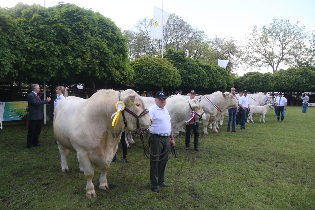 Hódmezővásárhely 2019