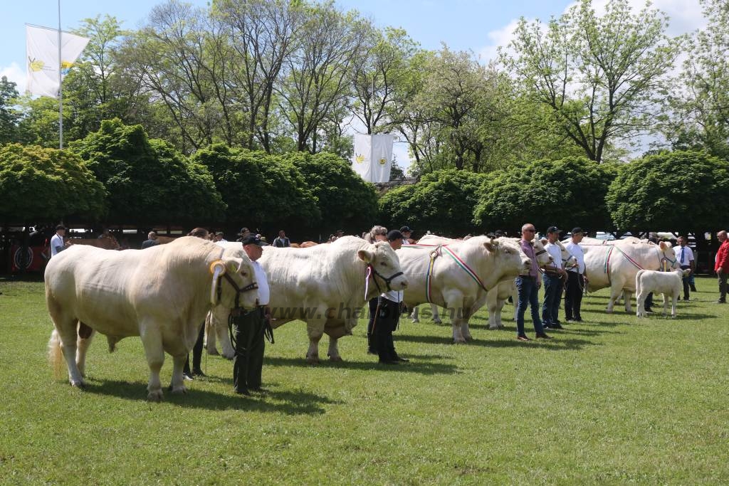 Hódmezővásárhely 2019