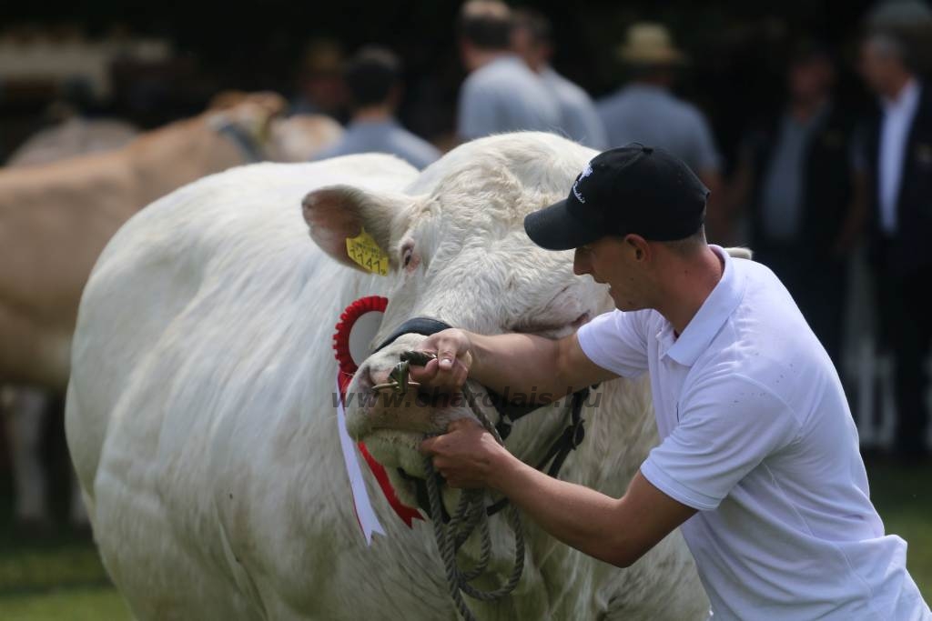 Hódmezővásárhely 2019